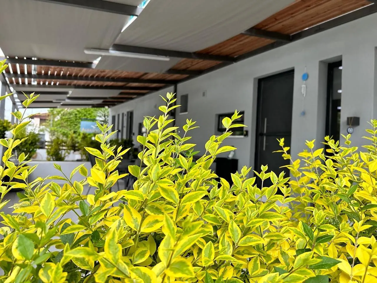 Holiday home K.G Apartment Pefkochori